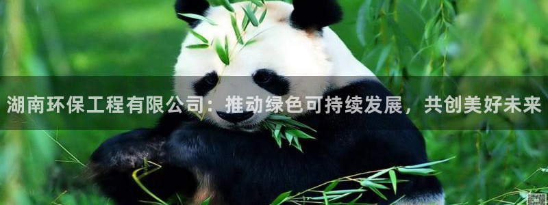 彩名堂人工计划客户端：湖南环保工程有限公司：推动绿色可持续发