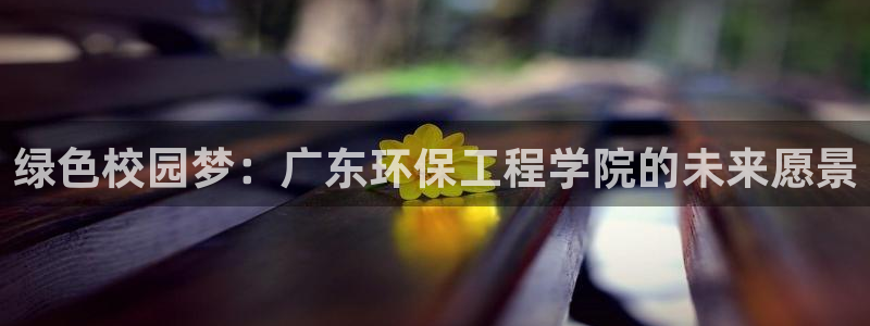 彩名堂怎么用不输：绿色校园梦：广东环保工程学院的未来愿景