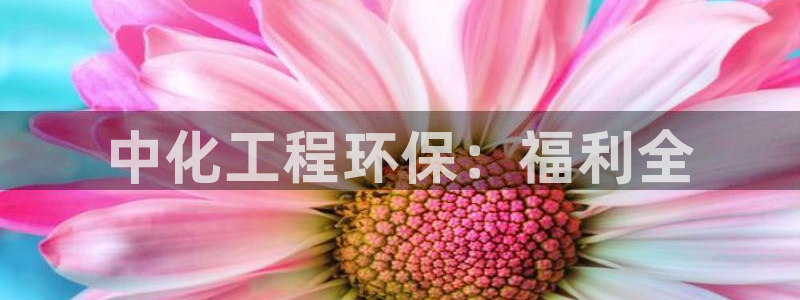 彩名堂在线下载：中化工程环保：福利全