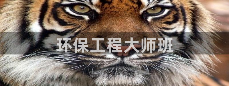 彩名堂人工计划客户端官网：环保工程大师班