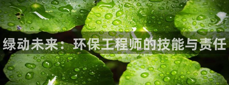 彩名堂免费计划下载：绿动未来：环保工程师的技能与责任