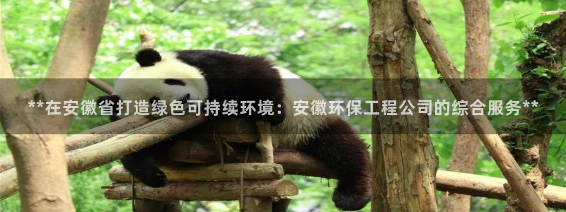 彩名堂预测计划：**在安徽省打造绿色可持续环境：安徽环保工程
