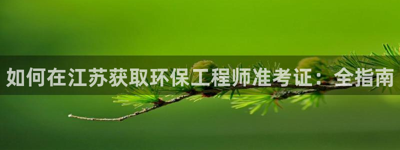 彩名堂为什么打不开：如何在江苏获取环保工程师准考证：全指南