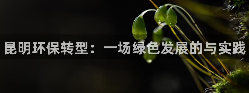 彩名堂平台：昆明环保转型：一场绿色发展的与实践