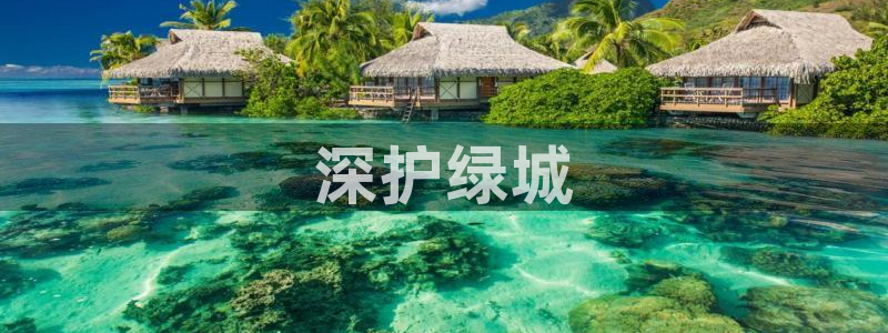 彩名堂app官网：深护绿城