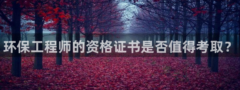 彩名堂怎么不能用了：环保工程师的资格证书是否值得考取？