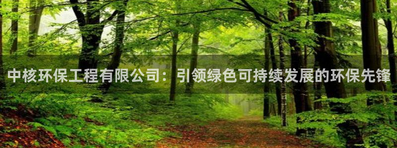 彩名堂使用方法：中核环保工程有限公司：引领绿色可持续发展的环