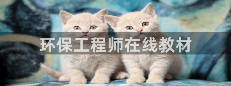 彩名堂人工预测免费计划：环保工程师在线教材