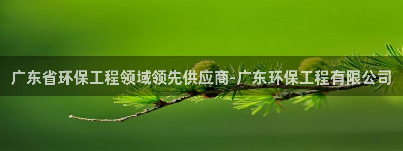 彩名堂双彩网：广东省环保工程领域领先供应商-广东环保工程有限