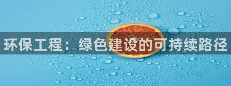 彩名堂官网计划：环保工程：绿色建设的可持续路径