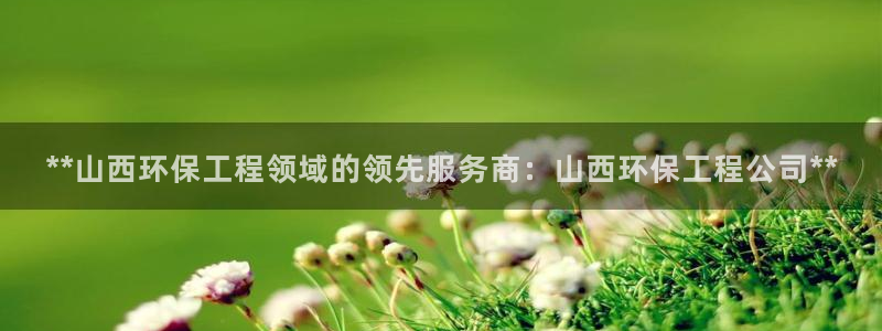 为什么彩名堂今天不能用：**山西环保工程领域的领先服务商：山