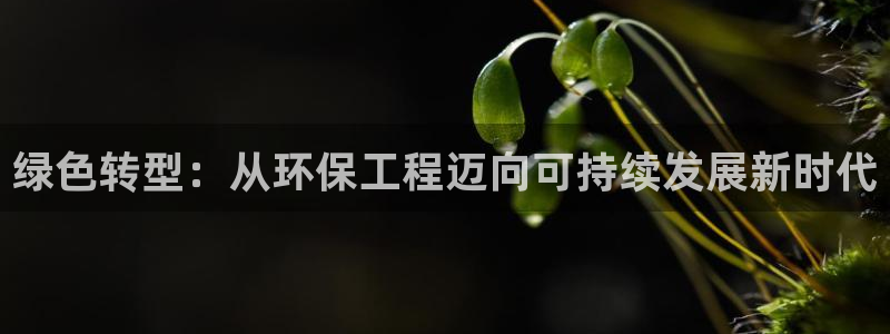 彩名堂预测免费计划：绿色转型：从环保工程迈向可持续发展新时代