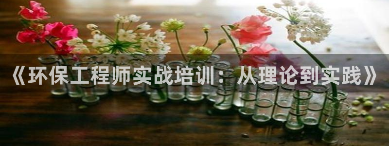 彩名堂预测软件：《环保工程师实战培训：从理论到实践》
