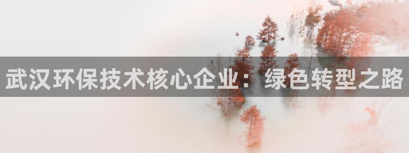 彩名堂免费计划官网5.0app：武汉环保技术核心企业：绿色转