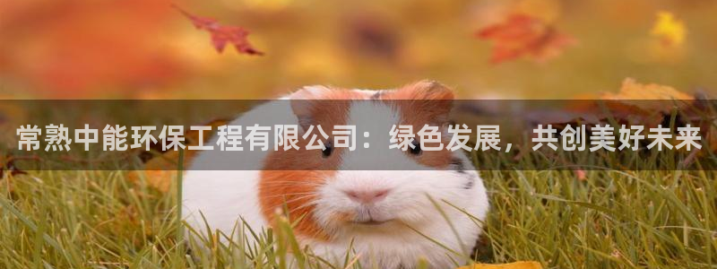 彩名堂幸运飞船计划：常熟中能环保工程有限公司：绿色发展，共创