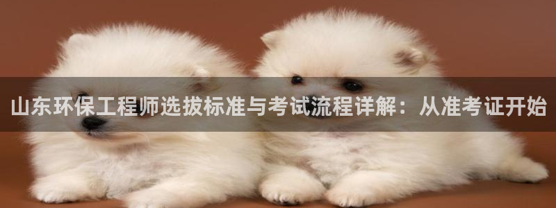 彩名堂客服：山东环保工程师选拔标准与考试流程详解：从准考证开