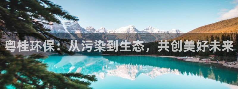 彩名堂官网谁有：粤桂环保：从污染到生态，共创美好未来