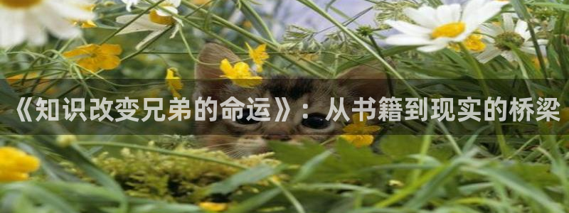 鸠摩 搜书：《知识改变兄弟的命运》：从书籍到现实的桥梁